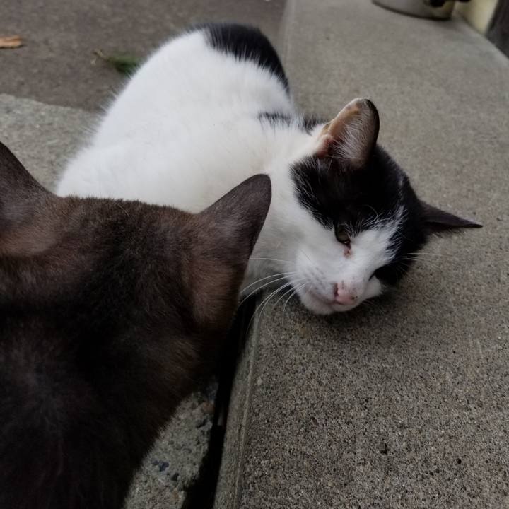 D26310f0 f730 4705 88de a9894fda166f 1586241305866