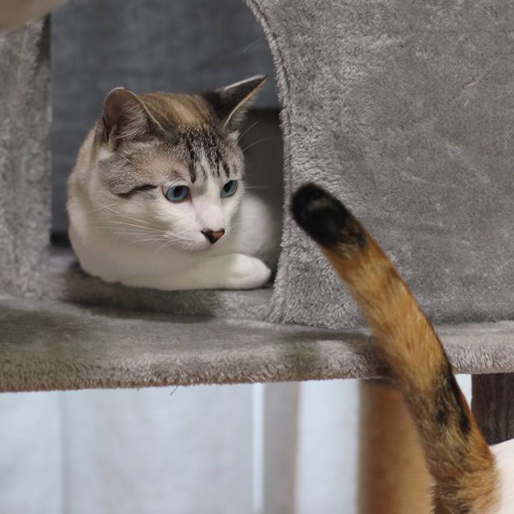 D2635571 071f 4565 a1cf 8e406ecc08f9 1642548525635