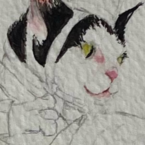 D263667b a8ee 41b4 8d64 e3977df20528 1688469777426