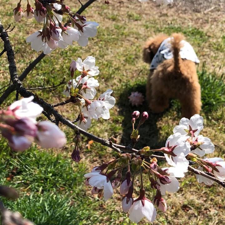 D2636c5a d033 4ac3 bfa1 0d4f8906ff1a 1586211221760