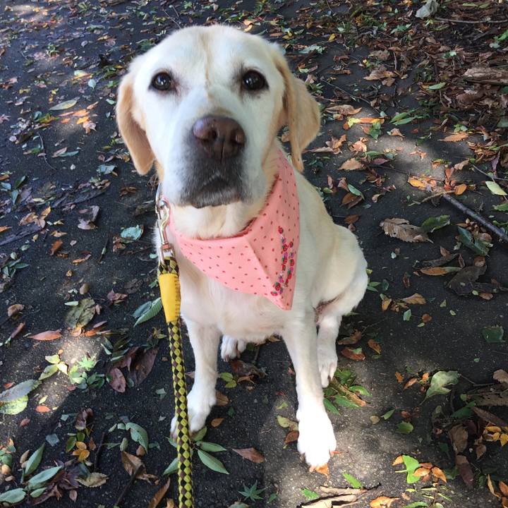 D2637bd4 f8d0 4469 b788 cfd3c5f3a2ee 1553869449504