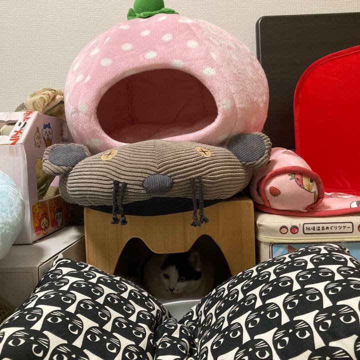 D263cbeb 1a2c 4585 b035 70be88b02c17 1770037549988