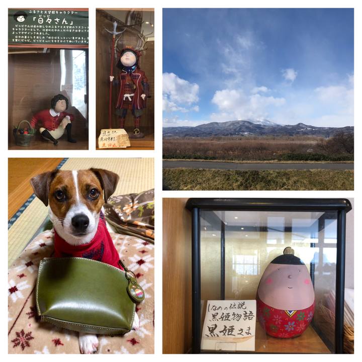 D263f544 d628 4db7 8569 3f4e025bb1e0 1548337605415