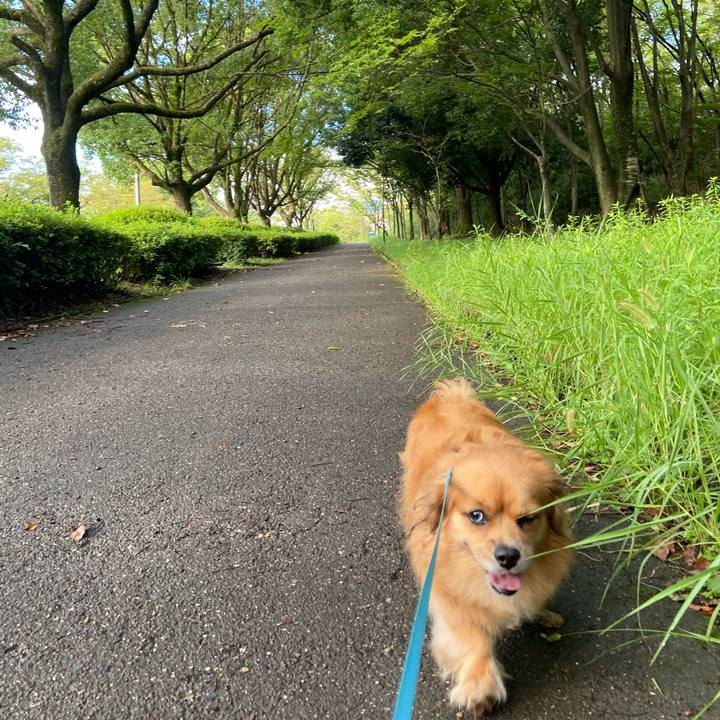 D26418ba ef91 4310 a5b8 ece04e70915b 1599346992514