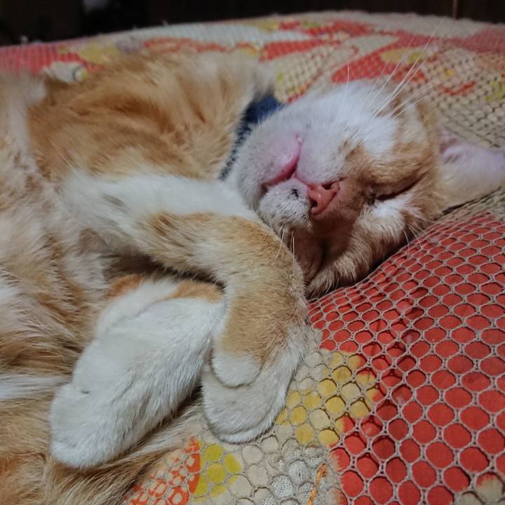 D2642646 7526 4777 8849 92cdbf04e672 1559222969579