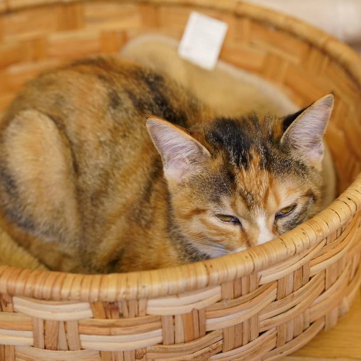 D2642661 5a9a 4eba 9b00 bf7ae34b372b 1572964320170