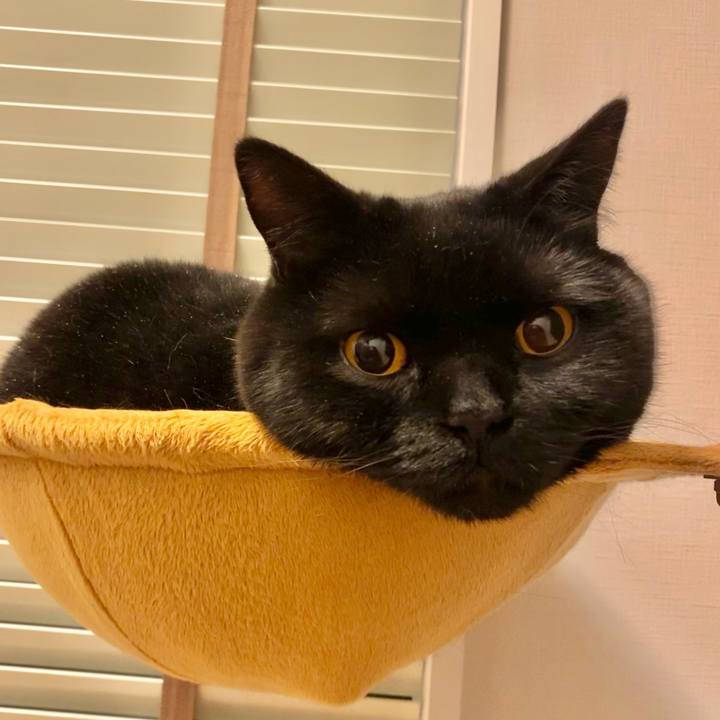 D264576e bbd1 431d 8e38 8b3a294acf6e 1650794131340