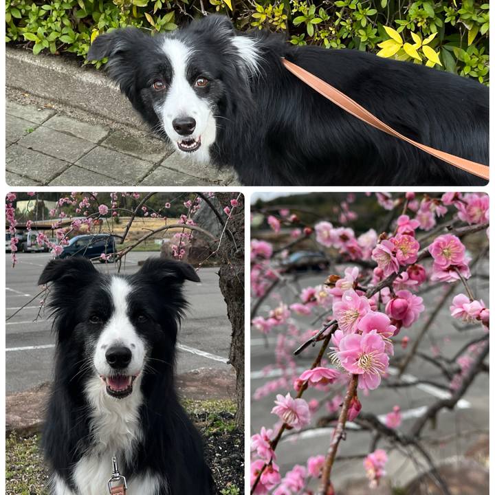 D2647cce 042d 4e2d aba8 d5e1ecd2221a 1772615210367