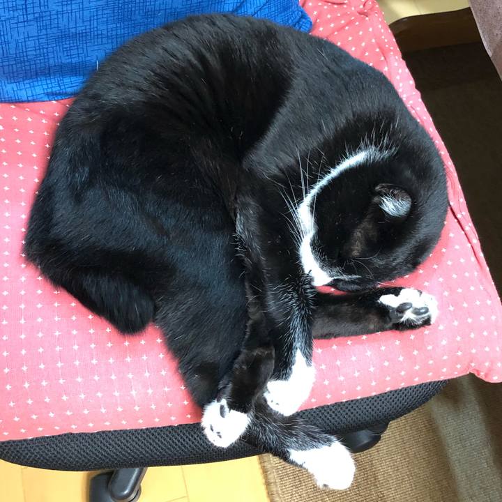 D264b2a3 06d3 4d18 8fb1 7d7b3d5d970f 1580269613114