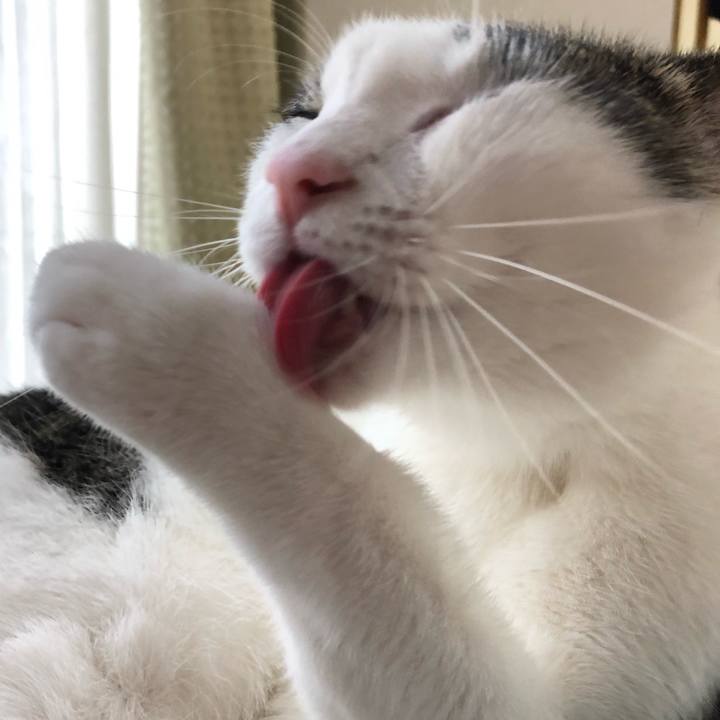 D264ced7 df08 492d a802 aac1b8952e3c 1594426062949