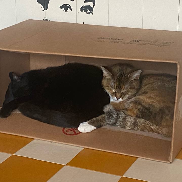 D2650e96 18e0 4cb9 bb17 f773b6904406 1714289325778