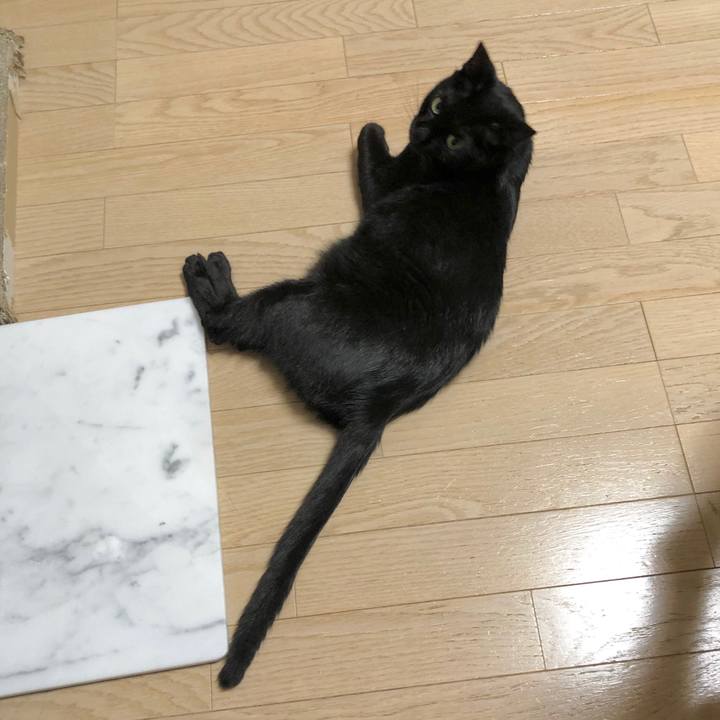 D2653262 f4cf 40db 915e 2d27b263d554 1600860092137