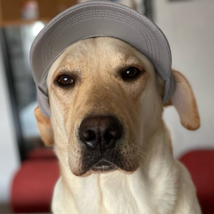 D26546f1 b25a 49fb 9b0a 275c4cd93243 1656716268783