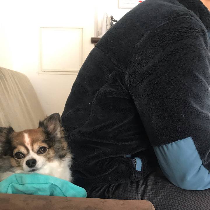 D265da4e 3b6e 4bcd 9876 8f3d8881095b 1642992238390