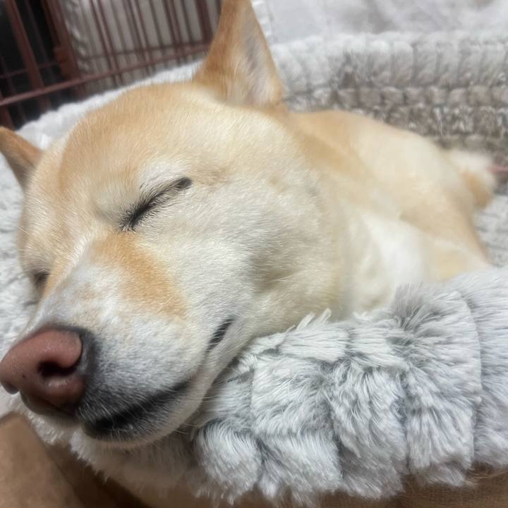 D265ed19 aa65 428a 9b15 948337c8fa69 1659271296025