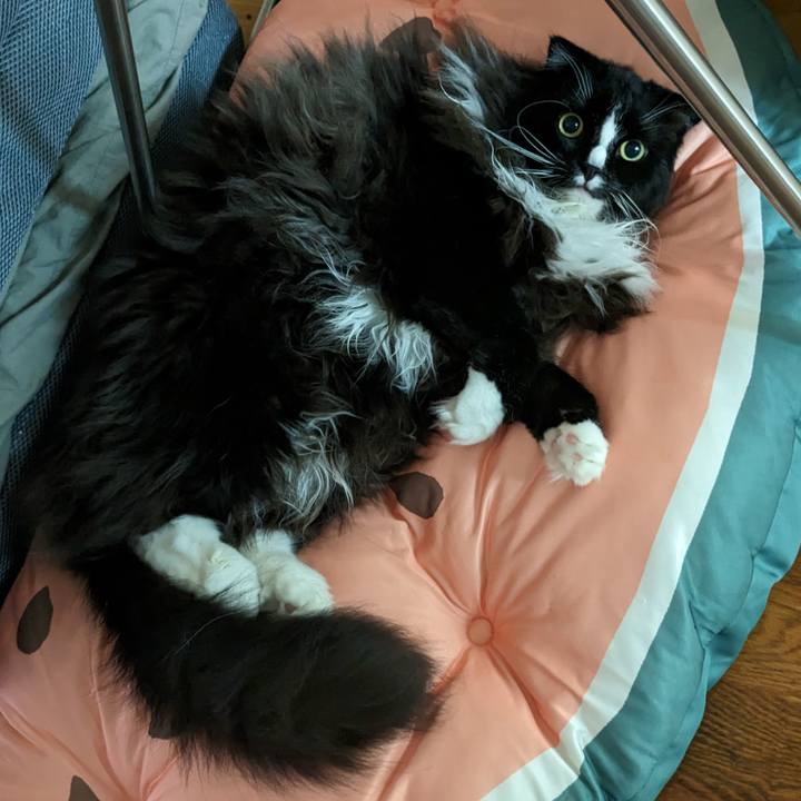 D265f453 a19b 4fa4 a205 e4059ab3148e 1690853492083