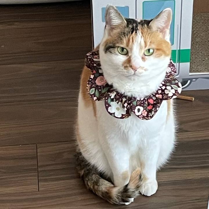 D2661ac8 a9f9 42f6 8bf9 095c58e20ed7 1741837734417