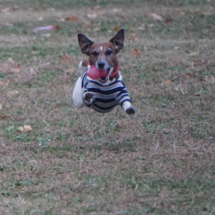 D2663099 ebcd 4faf a5c0 c8561d8dde2f 1606174935679