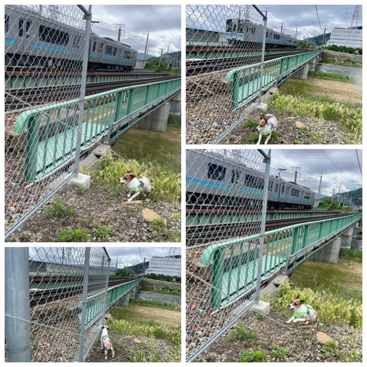 D2665d58 378e 41f7 8762 64c1fc289bc9 1748762385483