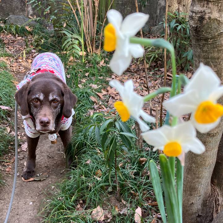 D2665f3e 9efd 4e38 a3e1 2d0cb1fa48c8 1770364884784