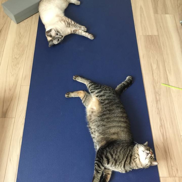 D2667477 d4b8 425e 8f7c 773535183c80 1592358539775