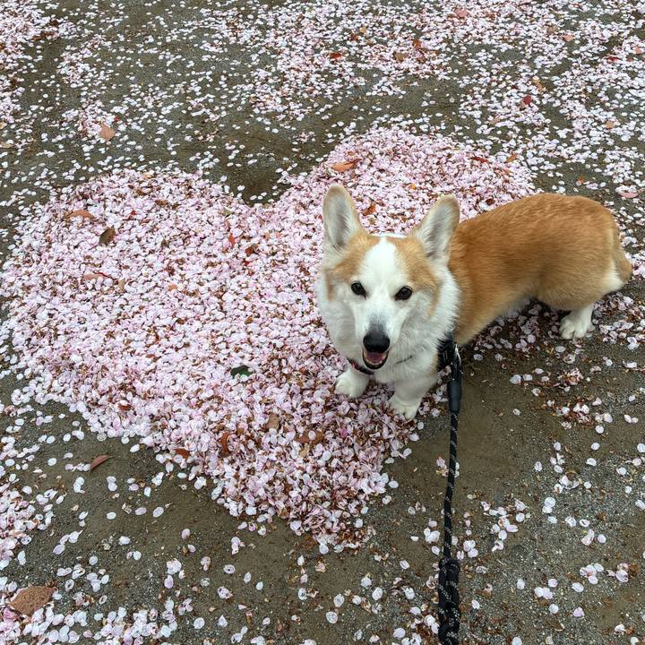 D2667503 b20c 4fdc bdd3 e2850788ce62 1775531309523