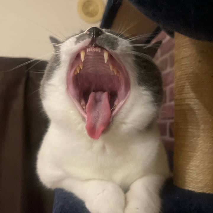 D2668c1e 82ce 464a 9d23 188dd8182ede 1730102120346