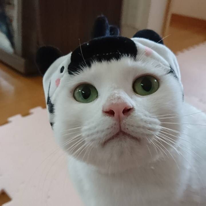 D2669d28 d551 4566 9051 00c5a0596371 1541033665606