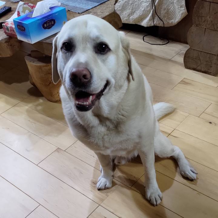 D266a664 c97a 47c9 ae51 ba2366a7c99b 1718455350717