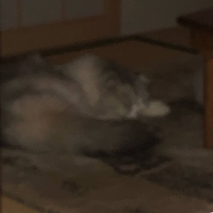 D266baa9 bb31 4868 8a78 56932daad4ee 1681895918619