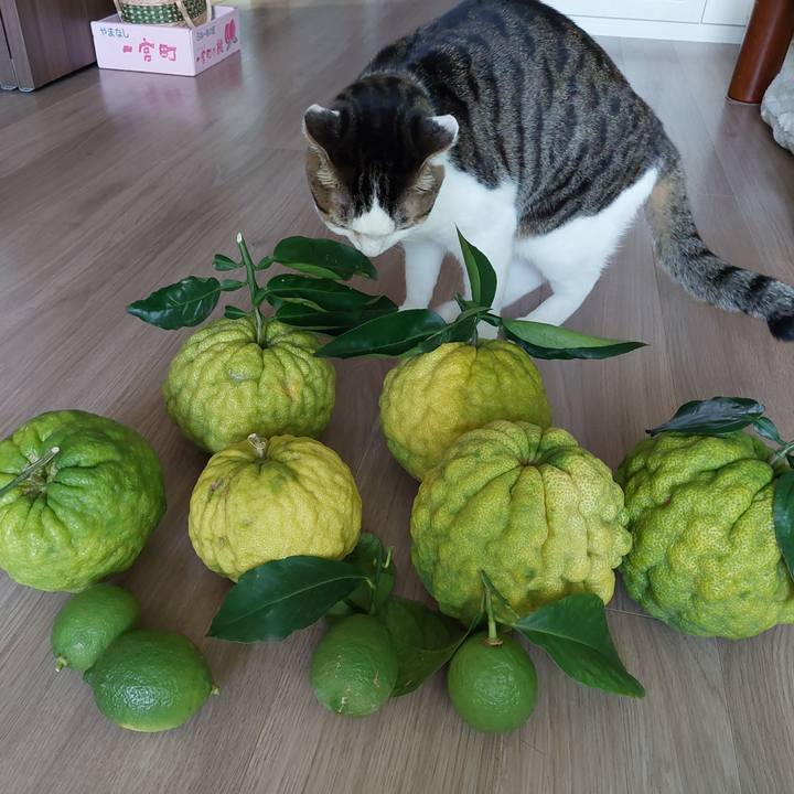 D266d1fd 50c5 43c5 84ed fe381e4644c4 1697610206908