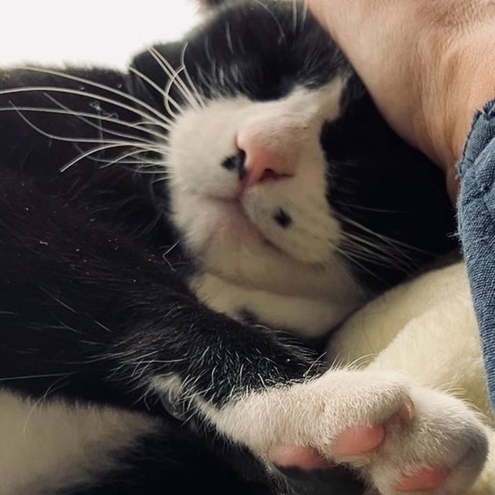 D26709ba eb4d 4c9e b5df 92d4690b2d94 1735700119227