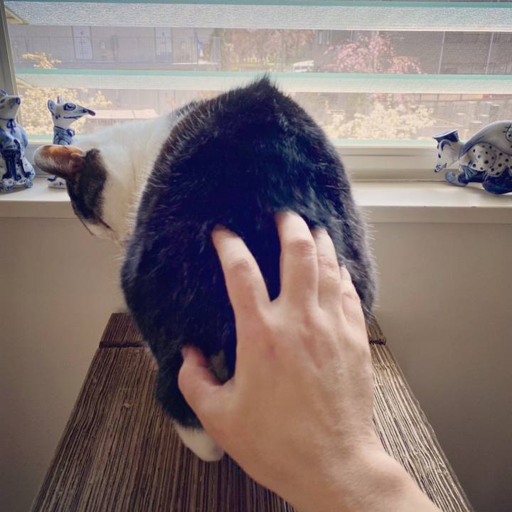 D2672700 4f35 4746 b76c 94a88cc4be54 1591270736012