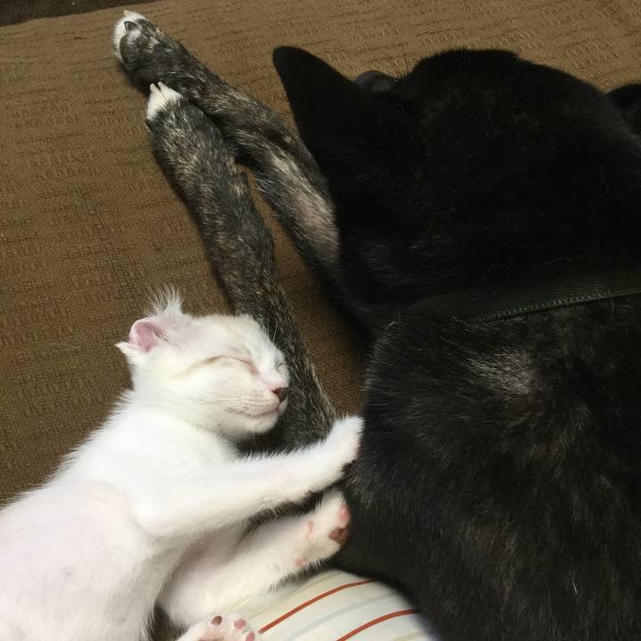 D2672e59 3a07 4049 ae1a c536a15bcfb2 1597215552884