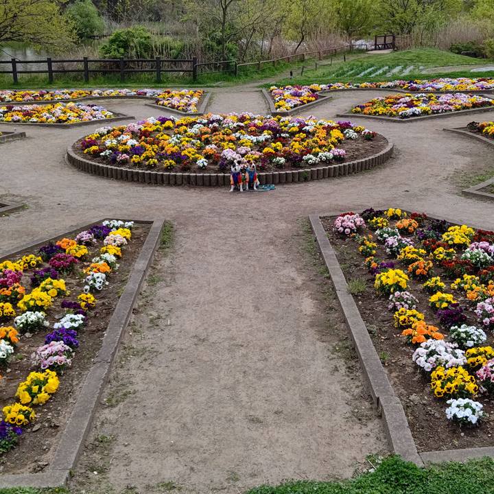 D267308b 113a 450f 9f0e 17aae4b010ad 1617849546212