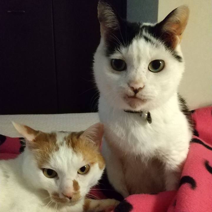 D267401e afae 495c 9329 01fcb321df25 1719116629105