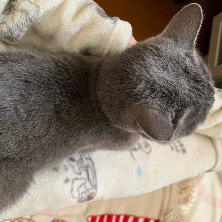 D2674f99 de12 4bae b982 c4523110ae49 1671840243630