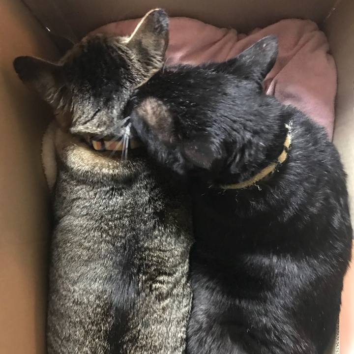 D2675cdf 5375 40a2 a32a 2b0567716dce 1518861437498