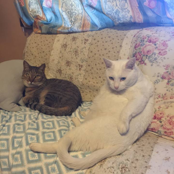 D2675ef0 c975 4d0a 9bde 850f98db1e5d 1513997099373