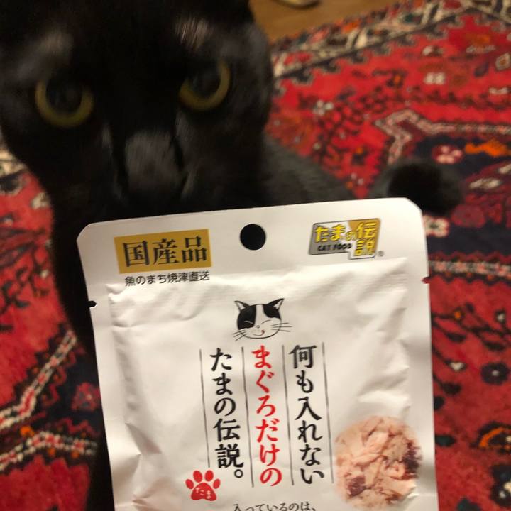 D2676167 d732 4ccf 9aa9 e13909cc614e 1608209427291