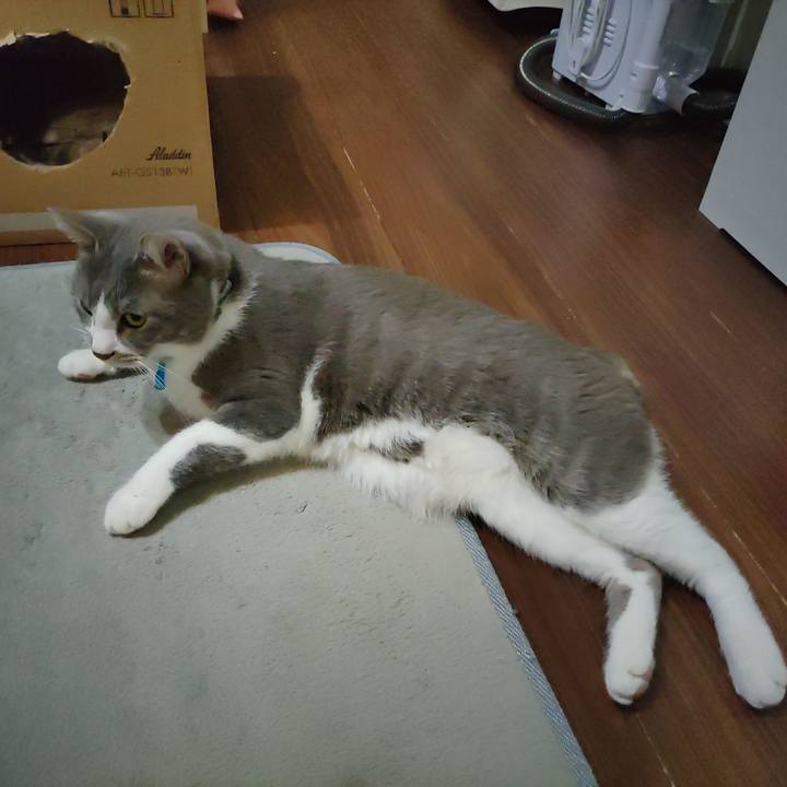 D2676b0e 0b92 4443 8fd4 57a9ce310cec 1703801407248