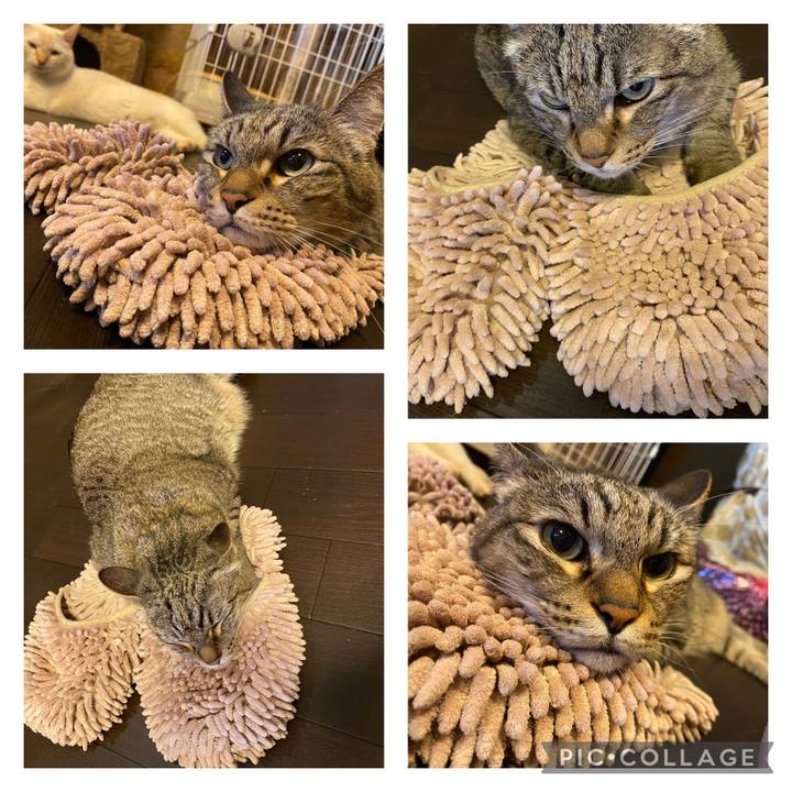 D2677278 56de 404a 9b8f 14a9f1572385 1632030812678