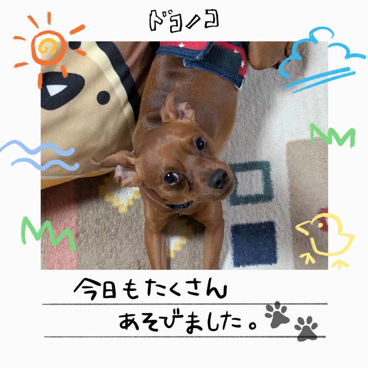 D2678e26 b246 4c90 91de ae1499992b6a 1755522850856