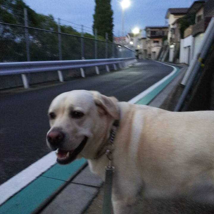 D267a0b6 e5b0 4168 883e d707fad4e513 1566559114242