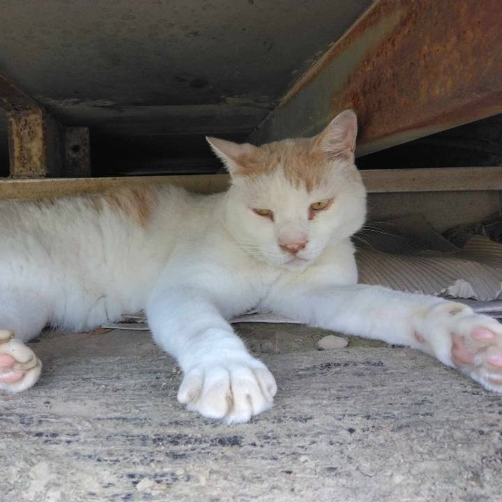 D267a479 105e 469a ad60 0503a59bb5e8 1721964919312