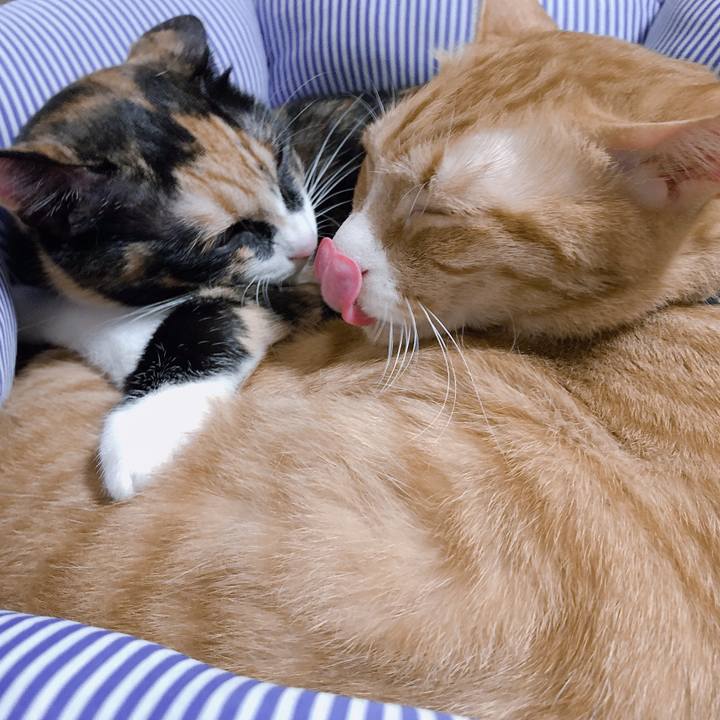 D267b2c8 b4a7 4add ab65 9062857e709b 1568364783238