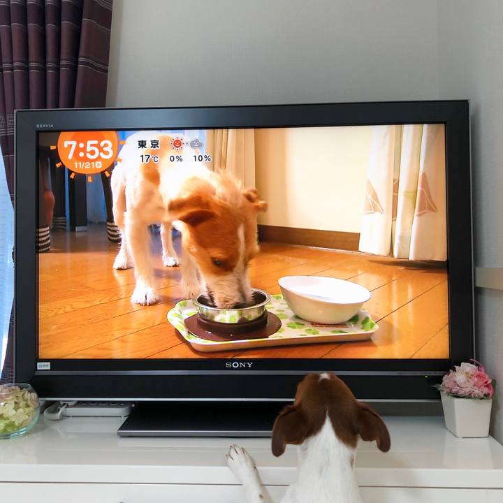 D267b71e 6720 4542 8fdc a2a1f104766c 1542786032441