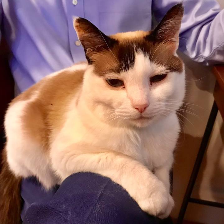 D267cd0f 8828 4f77 993b acf0807ff1ea 1560310431172