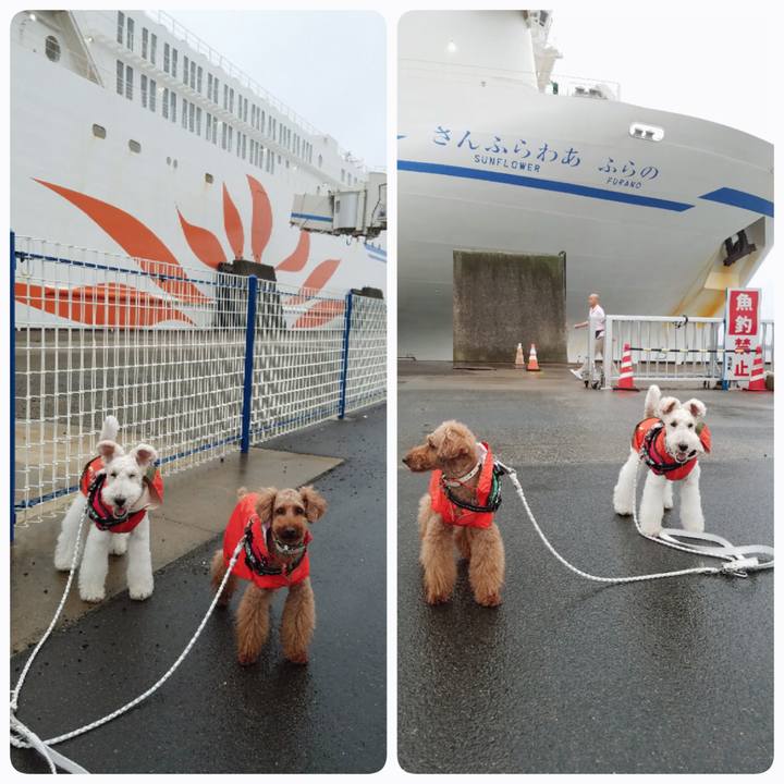 D2683925 a2aa 4af3 a859 8d9700348cf1 1561796133060