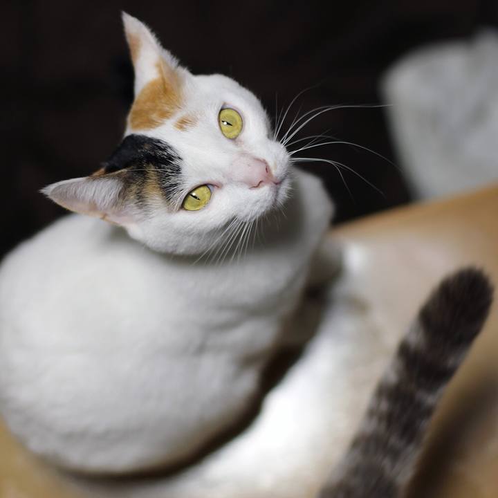 D2684898 114b 4542 9d65 5e3a96a1d6f9 1617116879031